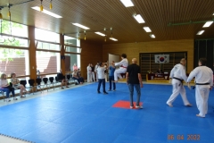 1_DSC03291