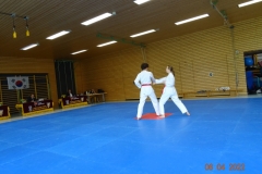 DSC03102