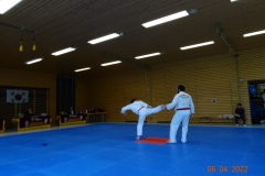 DSC03167