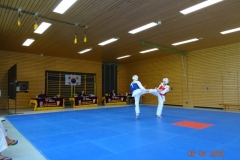 DSC03231