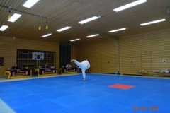 DSC03387