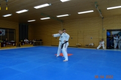 DSC03461