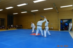 DSC03481