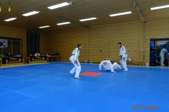 DSC03496