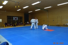 DSC03501