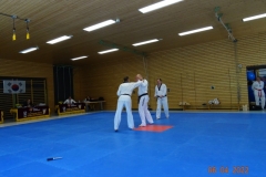 DSC03527