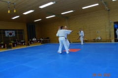 DSC03537