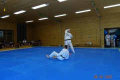 DSC03540