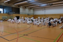 kressbronn_2013_11_20140501_1229457859