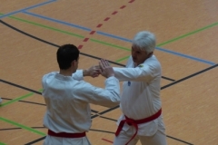 kressbronn_2013_17_20140501_1023810296