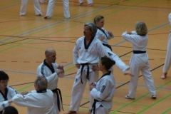 kressbronn_2013_36_20140501_1267493402