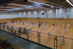 kressbronn_2013_39_20140501_1130929250