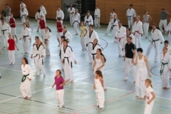 bad_saulgau_2012_17_20140517_1749222016