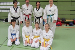 Mühlacker Open 2013
