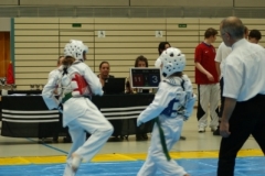 juni_2010_20110107_1231243774