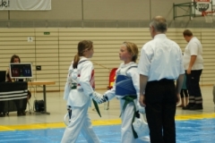 juni_2010_20110107_2028760632