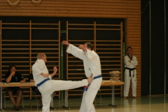 Prüfung Juni 2009