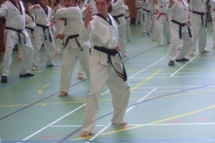sonstiges_3_20140517_2022990276