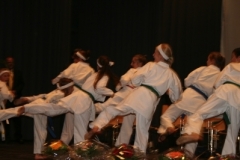 sportlerehrung_2008_10_20140517_1656178386