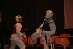 sportlerehrung_2008_23_20140517_1658836722