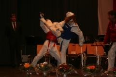 sportlerehrung_2008_27_20140517_1773554843
