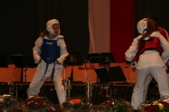 sportlerehrung_2008_28_20140517_1323017212