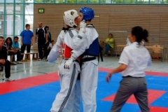 juni_2008_20110107_1117167157