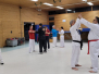 Taekwondo Defense