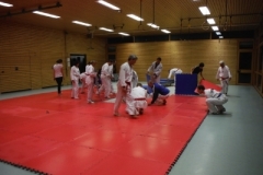 training_2013_1_20140517_1465264748